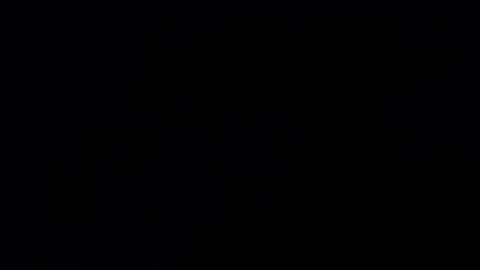 Annie online show from 02.19.25