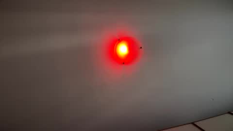 Witebull online show from 09.17.25