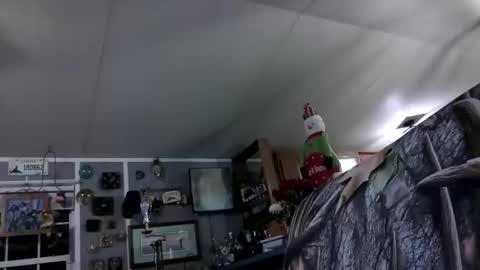 Snapshot of wldlife chatting on 11.25.25 wldlife online show from 11.25.25