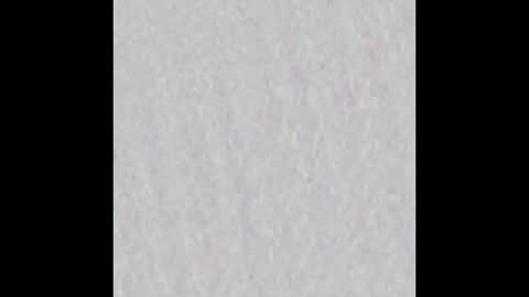 wnhz27 online show from 11.25.25