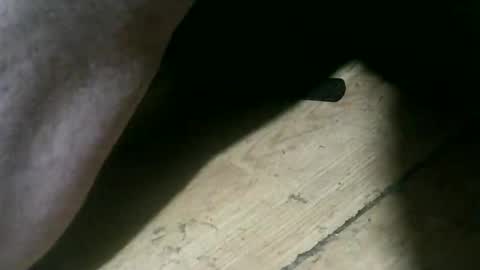 Snapshot of wolfbo6699 chatting on 11.22.25 wolfbo6699 online show from 11.22.25