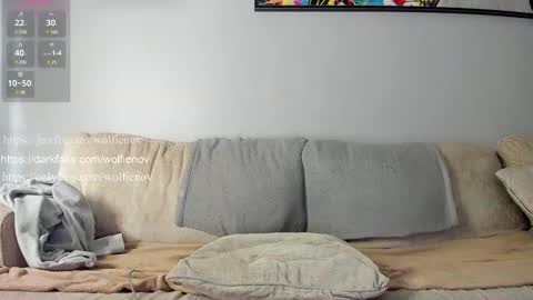 Snapshot of wolfiell chatting on 02.01.25 Wolfienov online show from 02.01.25