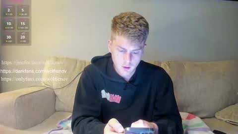 Snapshot of wolfiell chatting on 02.02.25 Wolfienov online show from 02.02.25