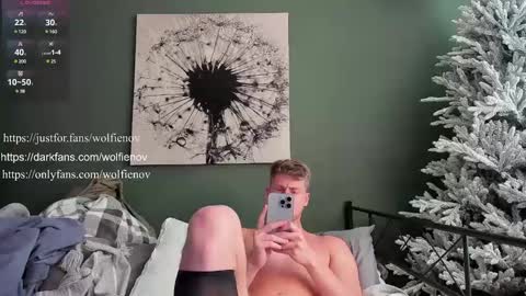 Snapshot of wolfiell chatting on 02.03.25 Wolfienov online show from 02.03.25