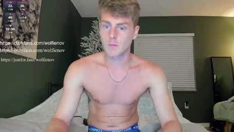 Snapshot of wolfiell chatting on 02.14.25 Wolfienov online show from 02.14.25