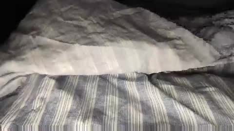 Snapshot of wolfyi chatting on 02.08.25 Sultan Blaze online show from 02.08.25