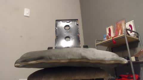 Snapshot of wonderfullight chatting on 12.02.25 SHENIEL RODRIGUEZ online show from 12.02.25