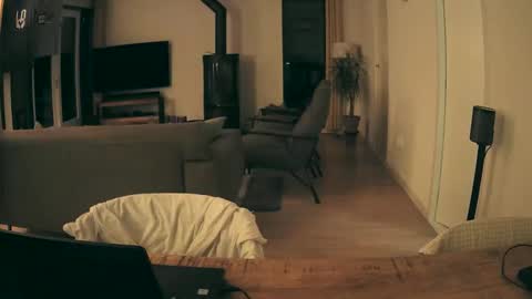 woodwurm and Snoeske online show from 01.11.26