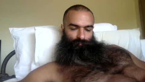 Snapshot of woof_wolf37 chatting on 02.13.26 woof_wolf37 online show from 02.13.26