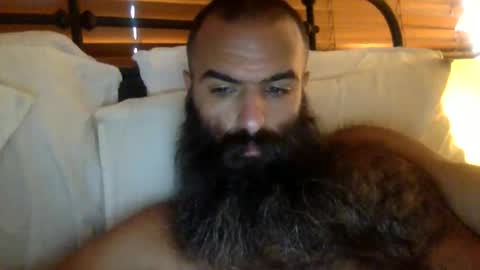 Snapshot of woof_wolf37 chatting on 02.19.26 woof_wolf37 online show from 02.19.26