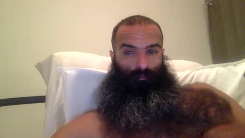 Snapshot of woof_wolf37 chatting on 02.28.26 woof_wolf37 online show from 02.28.26