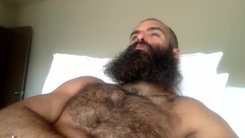 Snapshot of woof_wolf37 chatting on 04.16.26 woof_wolf37 online show from 04.16.26