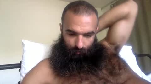 Snapshot of woof_wolf37 chatting on 04.29.26 woof_wolf37 online show from 04.29.26