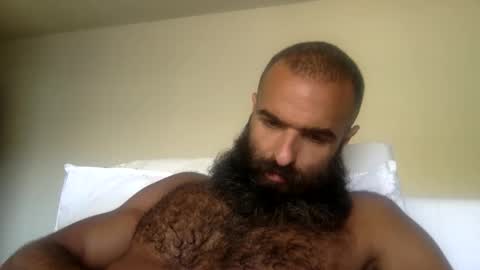 Snapshot of woof_wolf37 chatting on 05.31.26 woof_wolf37 online show from 05.31.26