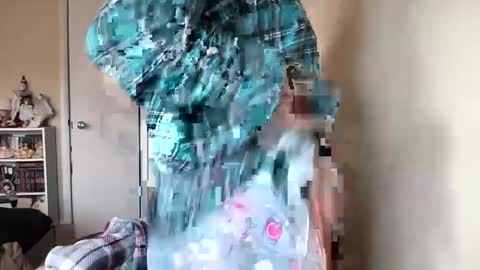 Lucina online show from 12.19.24