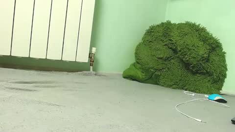 Snapshot of wow_devil chatting on 12.27.24 wow_devil online show from 12.27.24