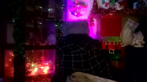 SCOOTER online show from 11.23.25