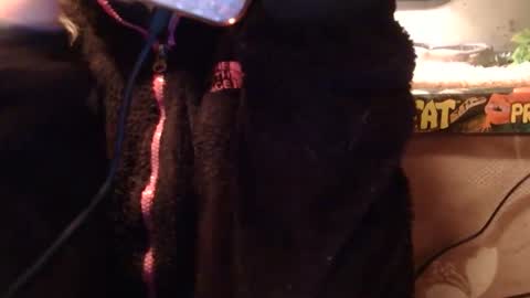 x2kayx2 online show from 01.10.26