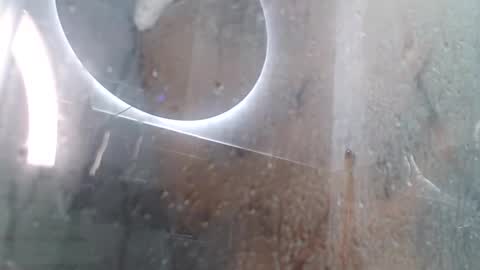 Andres online show from 02.03.25