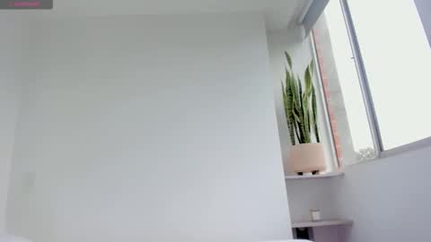 Xavier online show from 01.11.26