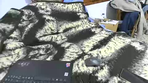 Snapshot of xaxi3 chatting on 03.15.26 xaxi3 online show from 03.15.26