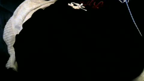 Snapshot of xbigtymerx chatting on 12.12.24 Toke online show from 12.12.24