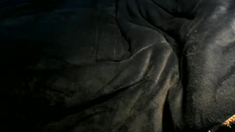 Snapshot of xbigtymerx chatting on 01.06.25 Toke online show from 01.06.25