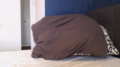 Snapshot of xhotfanx chatting on 01.01.25 xhotfanx online show from 01.01.25