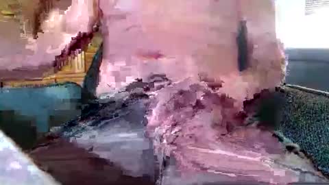 xmen43hot online show from 09.18.25