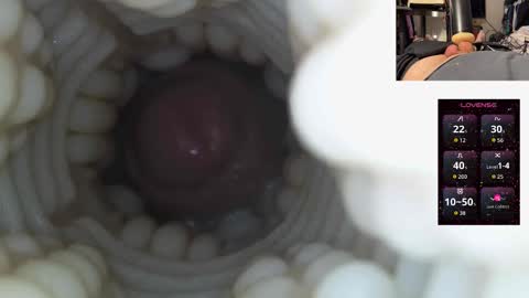 xoxowtf online show from 12.15.25