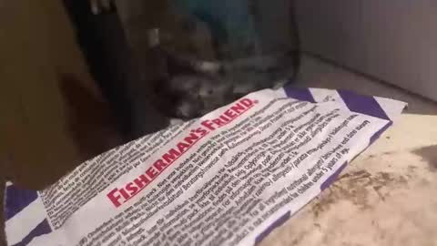 Snapshot of xvoyeur2011x chatting on 04.03.26 xvoyeur2011x online show from 04.03.26