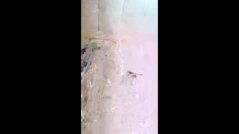 xxjessiebugxx online show from 05.13.26