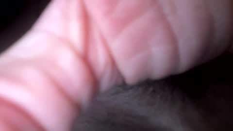 xxx5679333567 online show from 02.06.26