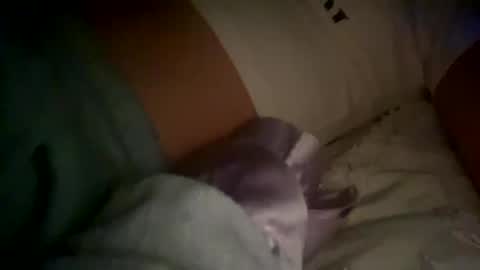 xxxsophiaday online show from 10.04.25