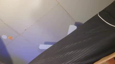 Xzbib online show from 02.02.26