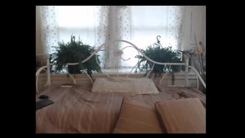 Lexi online show from 11.11.25