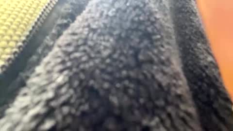 yasarsimo99154258 online show from 04.07.26