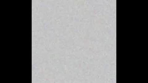 .     y e l l o w s n a k e s       . online show from 11.24.25