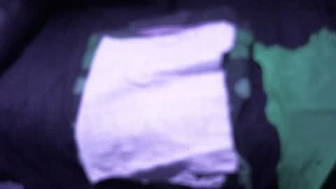 .     y e l l o w s n a k e s       . online show from 12.15.25