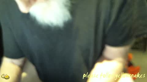 .     y e l l o w s n a k e s       . online show from 01.14.26