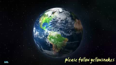 .     y e l l o w s n a k e s       . online show from 02.01.26