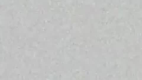 .     y e l l o w s n a k e s       . online show from 04.16.26