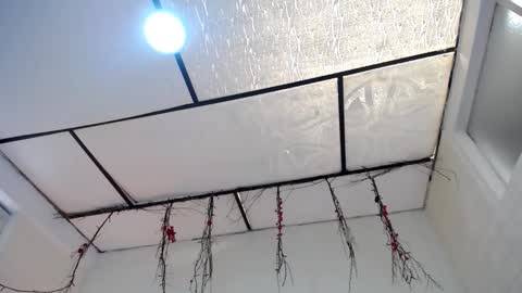 YEM online show from 03.23.26