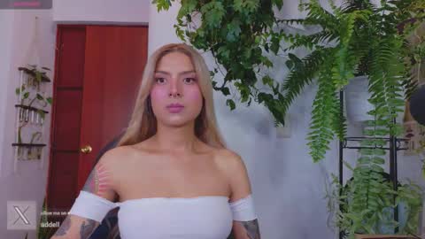 yeriawaddell  online show from 03.26.26