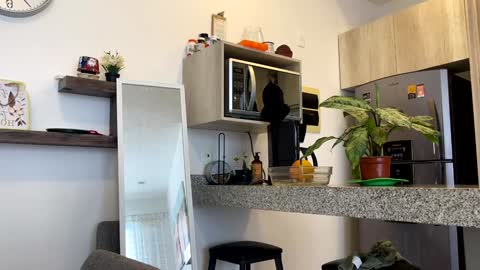 Zlata online show from 02.02.25