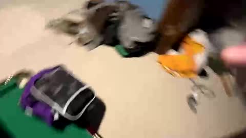 Yesspleasexxp online show from 11.17.25