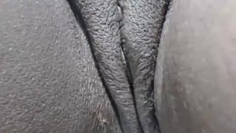 yirily online show from 03.21.26