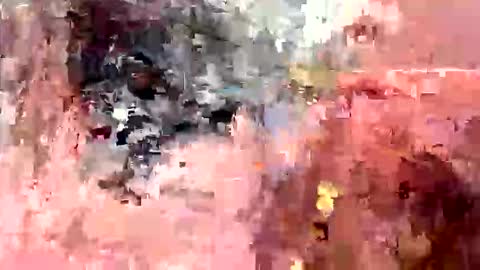 yngdylan online show from 02.19.26