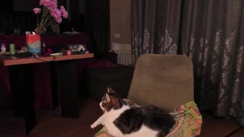 Max online show from 11.14.25