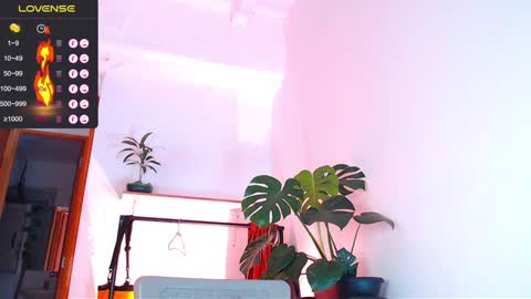 Enzo online show from 01.06.25